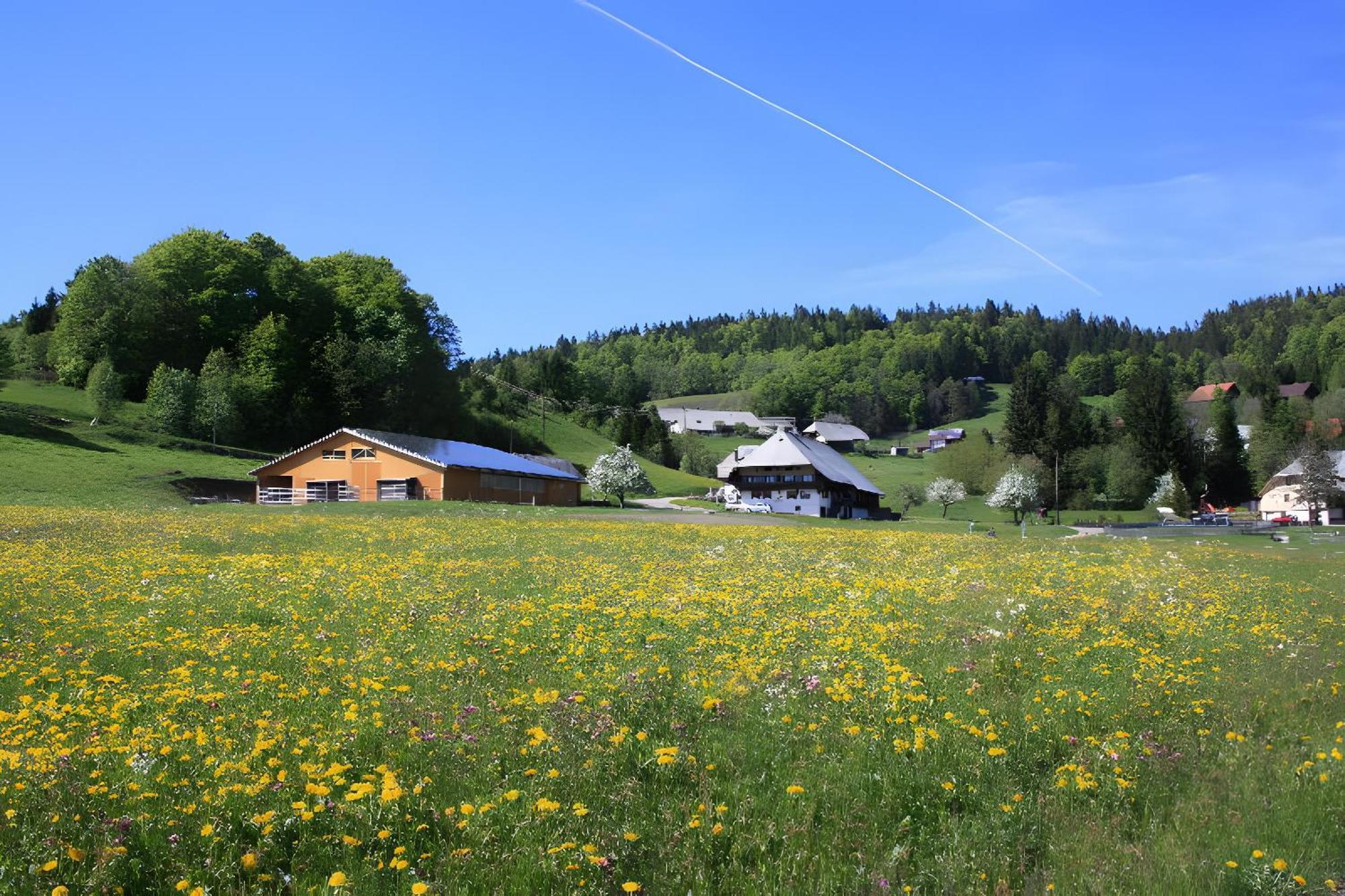 Buerschtehanse-Hof Ibach Экстерьер фото