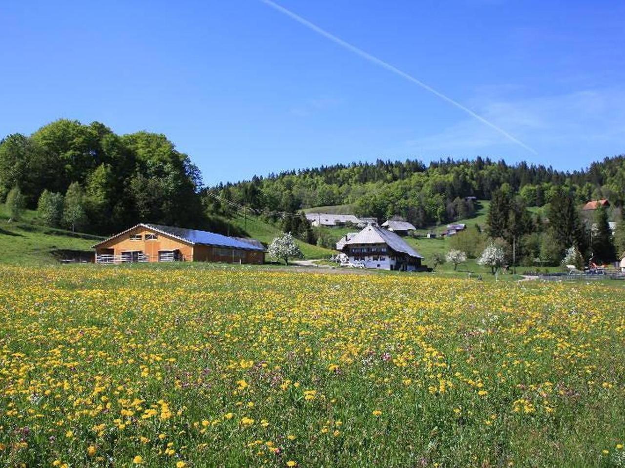 Buerschtehanse-Hof Ibach Экстерьер фото