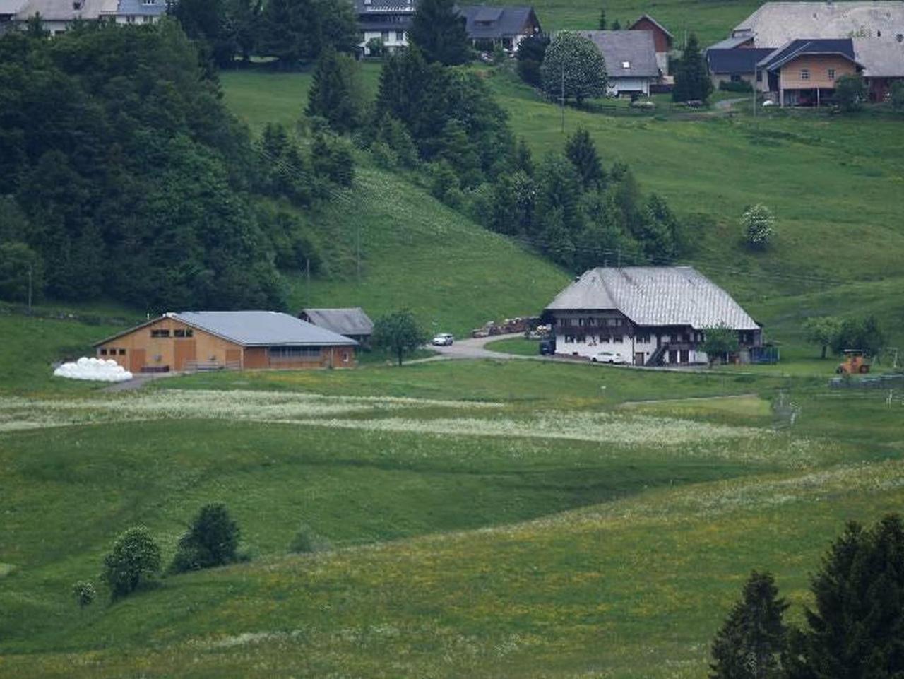 Buerschtehanse-Hof Ibach Экстерьер фото